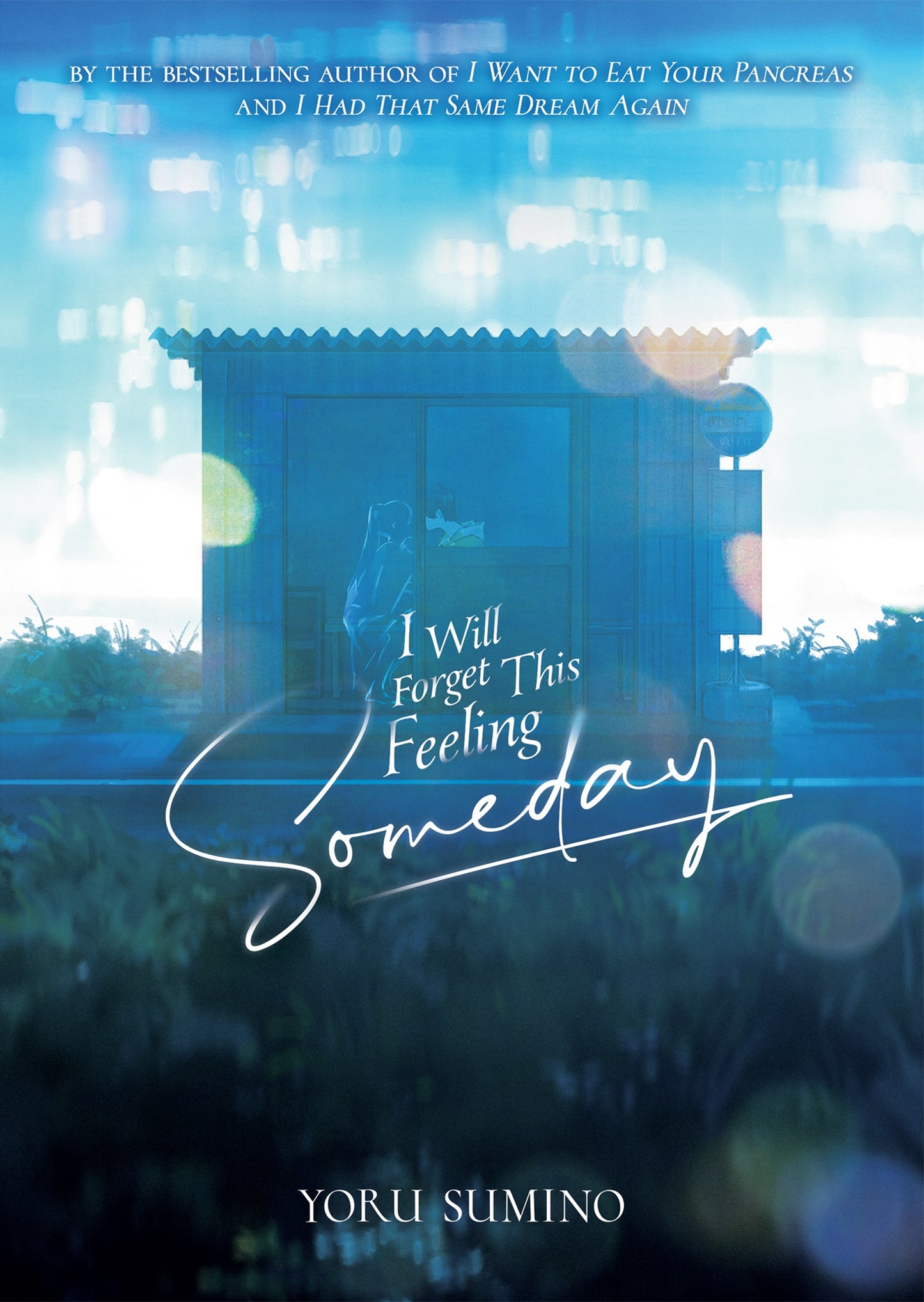 I Will Forget This Feeling Someday Novel