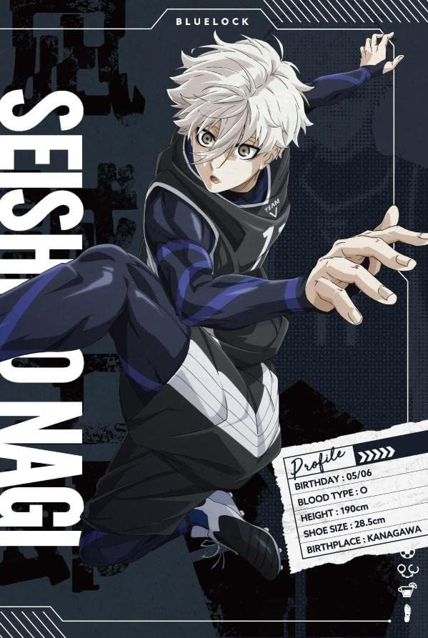 Blue Lock Postcard Book (JP)