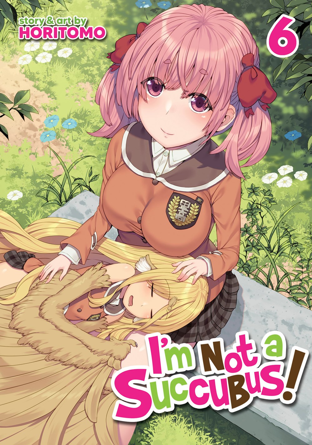 I'm-Not-a-Succubus!-Manga-Volume-6