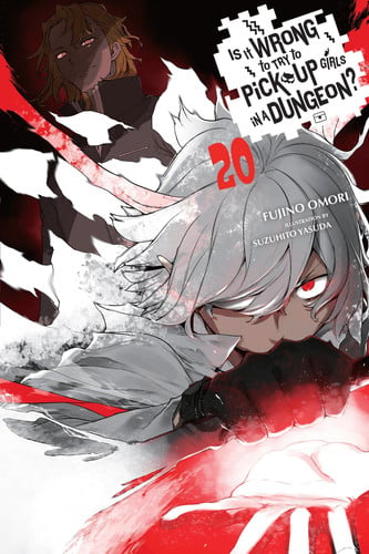 Is It Wrong to Try to Pick Up Girls in a Dungeon?, Vol. 20 (Light Novel)