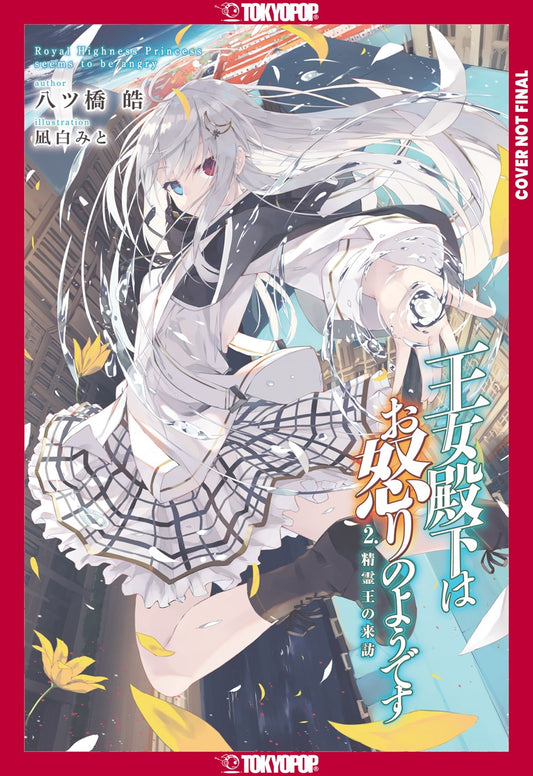 Her-Royal-Highness-Seems-to-Be-Angry-Novel-Volume-2