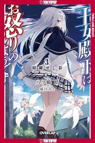 Her-Royal-Highness-Seems-to-Be-Angry,-Volume-3-(Light-Novel)