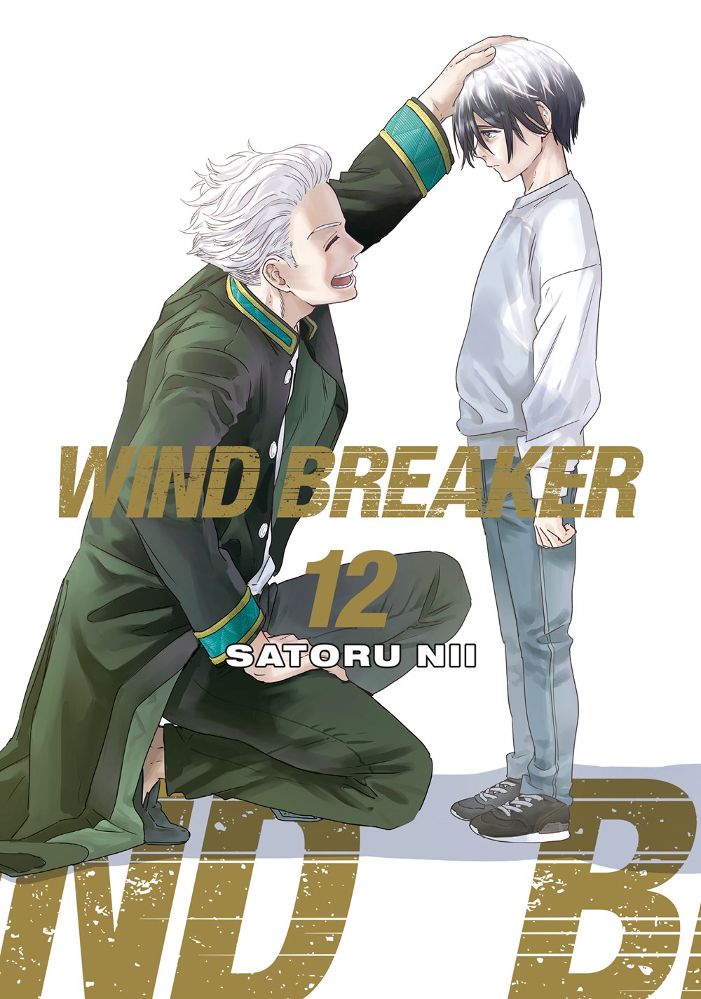 WIND-BREAKER-Manga-Volume-12