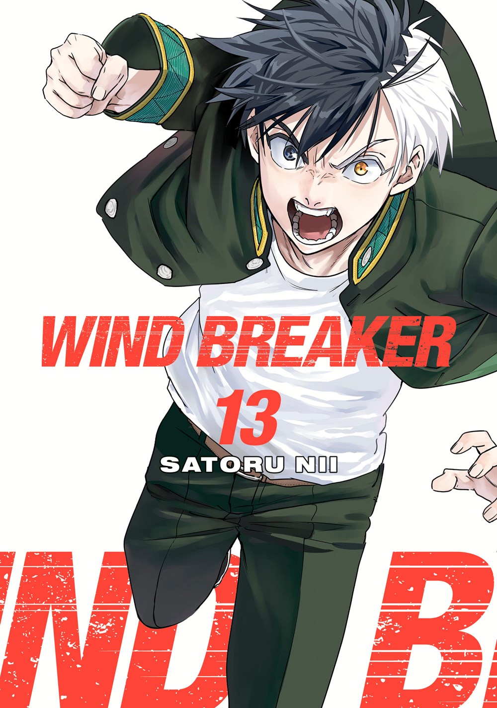 WIND-BREAKER-Manga-Volume-13