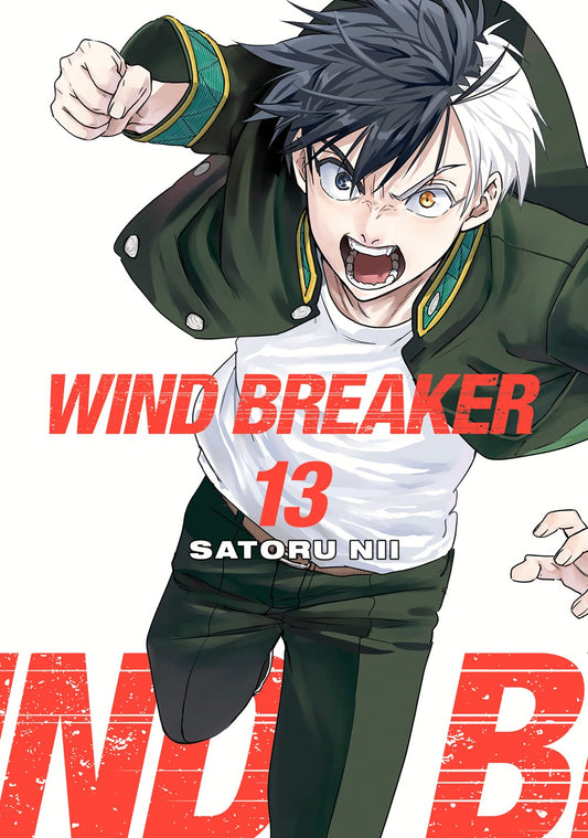 WIND-BREAKER-Manga-Volume-13