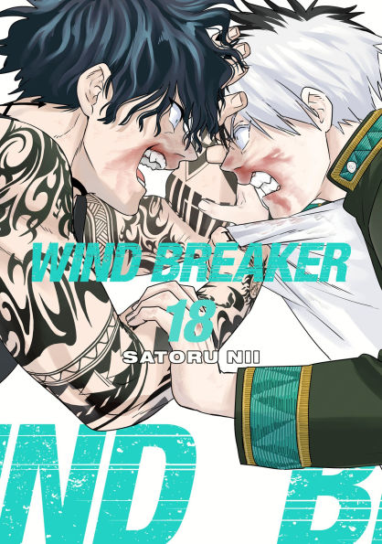Wind-Breaker-18