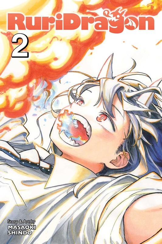 RuriDragon-Manga-Volume-2