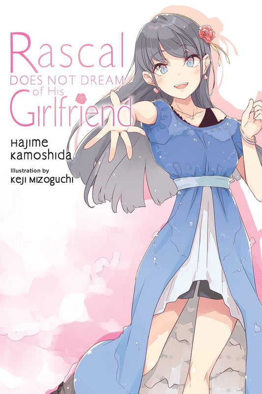 Rascal-Does-Not-Dream-of-His-Girlfriend-Novel