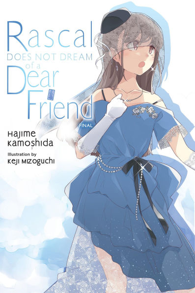 Rascal-Does-Not-Dream-of-a-Dear-Friend-(Light-Novel)