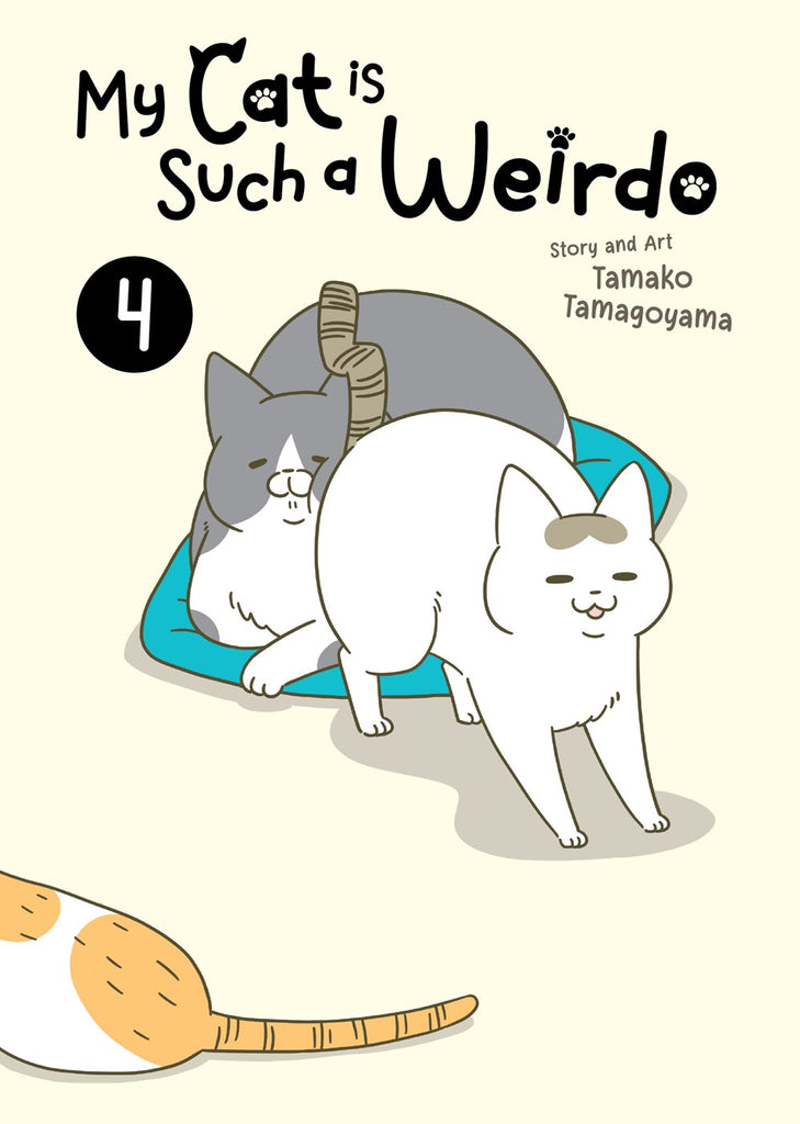 My-Cat-is-Such-a-Weirdo-Manga-Volume-4-(Color)