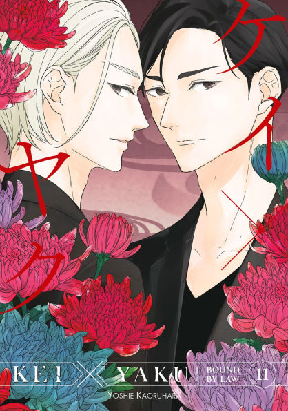 Kei-X-Yaku:-Bound-by-Law-11