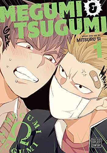 Megumi & Tsugumi Manga Volume 1